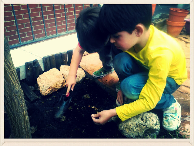 ¡Nuestros ganadores ya han plantado las semillas!